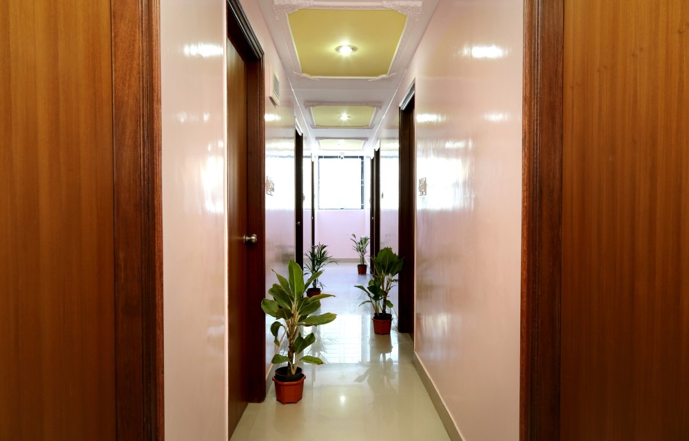 Pelagia Paradise image 3